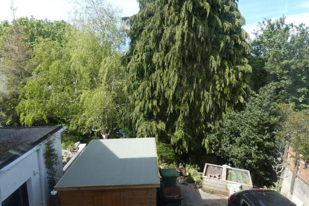 Ferney Croft Apartment Saint Erth Екстериор снимка